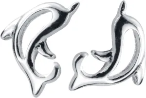 Didiseaon 1 Pair Dolphin Earrings for Women Ear Accessories Unique Dolphin Lovers Fashionable Elegant Design for Any Season for Daily Wear Special Occasions